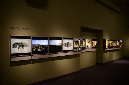 Wasp_exhibition__DSC3403